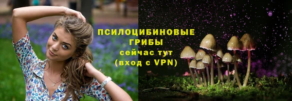 а пвп мука Балабаново