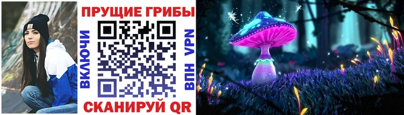 Псилоцибиновые грибы MAGIC MUSHROOMS наркотики Нурлат